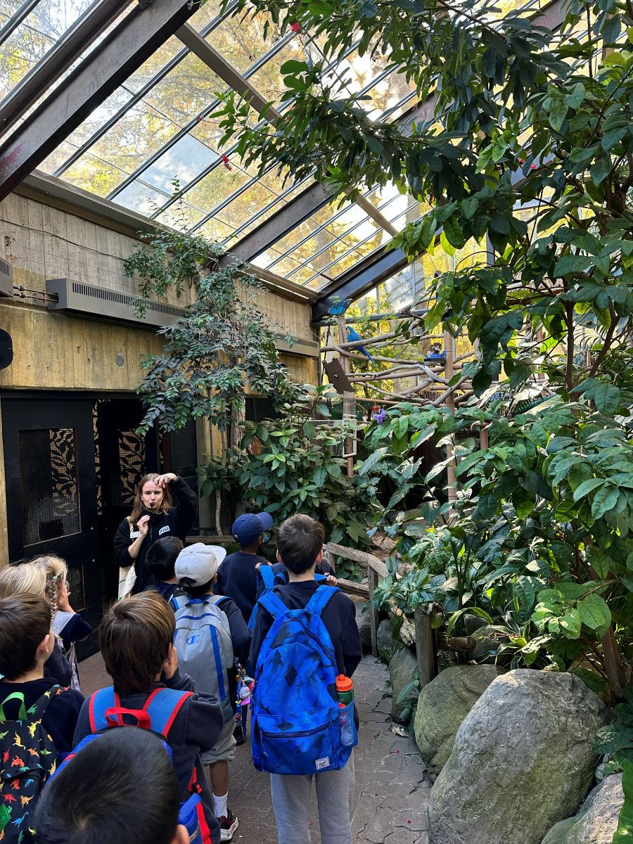 Name Game at the Zoo